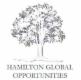 Cours Hamilton Global Opportunities PLC