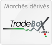 March&eacute;s d&eacute;riv&eacute;s