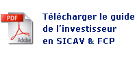 Guide de l'investisseur