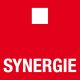 Cours Synergie SE