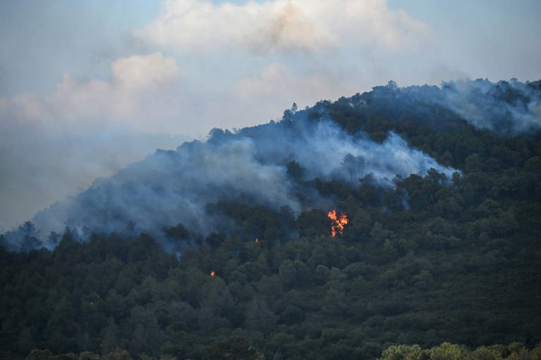 Un feu de forêt près de Narbonne, le 8 juillet 2025