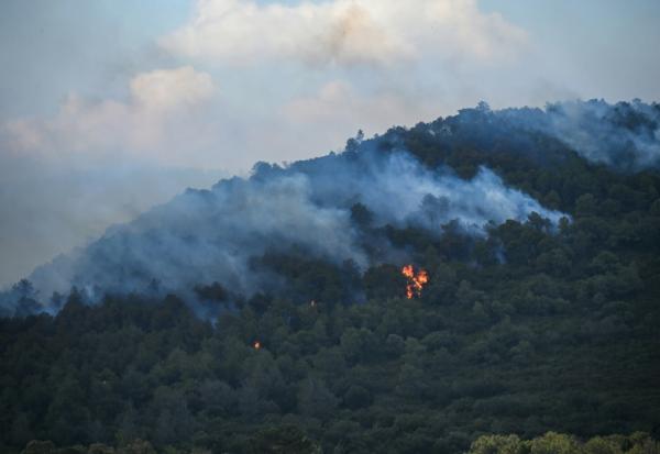 Un feu de forêt près de Narbonne, le 8 juillet 2025