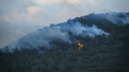Un feu de forêt près de Narbonne, le 8 juillet 2025