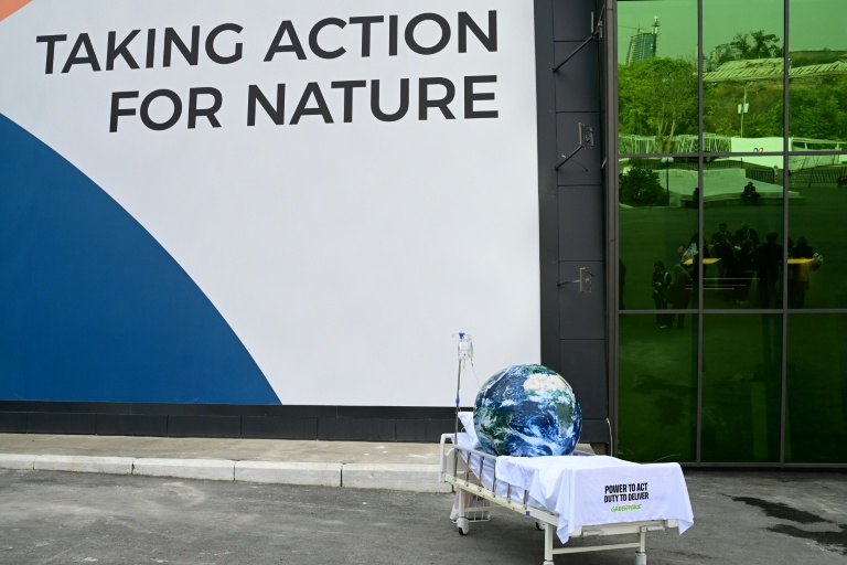 Une installation Greenpeace à l'extérieur du site accueillant la COP17, le 27 ocrtobre 2026 à Erevan, en Arménie