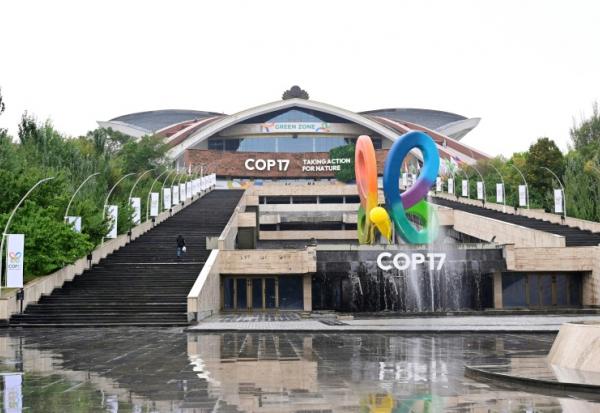 Le complexe sportif et de concerts Karen Demirchyan, qui accueille la 17e session de la Conférence des Parties (COP 17) à la Convention sur la diversité biologique (CDB), à Erevan, la capitale arménienne, le 15 octobre 2026.