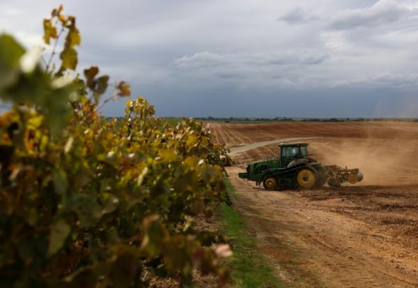 Un tracteur prépare les sols pour la culture d'amandiers à la place d'un ancien vignoble, le 13 octobre 2025 près de Lodi, en Californie