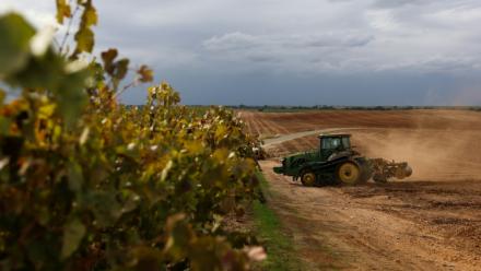 Un tracteur prépare les sols pour la culture d'amandiers à la place d'un ancien vignoble, le 13 octobre 2025 près de Lodi, en Californie