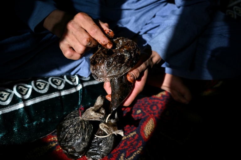 Un agriculteur montre de l'opium brut dans sa maison de la province du Badakhshan, le 11 octobre 2026 en Afghanistan
