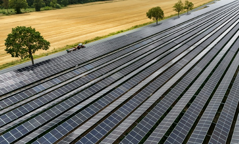 Installation agrivoltaïque à Wadersloh (ouest), juillet 2026