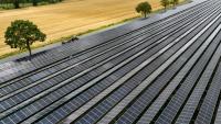 Installation agrivoltaïque à Wadersloh (ouest), juillet 2026