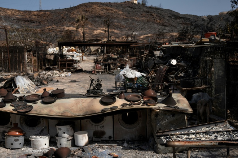 Des poteries dans la cour d'une maison située dans un paysage calciné sont visibles après un incendie de forêt ayant coûté la vie à au moins 12 personnes, à Bedar (province d'Almería), le 11 juillet 2026