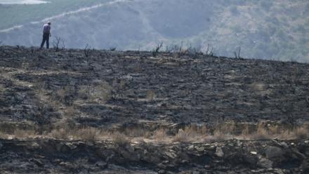 Un homme marche sur ses terres brûlées après un incendie de forêt ayant fait au moins 12 morts, à Alfaix, dans la province d'Almería, le 11 juillet 2026
