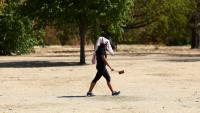 Une personne protège sa tête contre le soleil à Hyde Park, dans le centre de Londres, le 9 août 2026 lors d'une vague de chaleur
