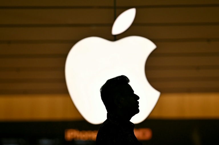 Apple a retiré jeudi de son magasin d'applications AppStore plusieurs applications mobiles utilisées pour signaler anonymement les déplacement de la police de l'immigration américaine