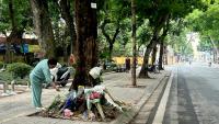 Des fleurs déposées sur les lieux où un haut responsable avait mortellement percuté une adolescente, le 15 août 2026 à Hanoï, au Vietnam
