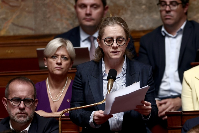 La députée socialiste Céline Thiébault-Martinez (C) s'exprime à l'Assemblée nationale le 28 mai 2025 à Paris