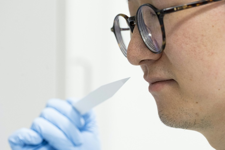 L'élève parfumeur Shangyun Lyu sent une bande odorante utilisée pour évaluer les parfums dans le laboratoire du chimiste allemand Symrise, à Holzminden, le 8 juillet 2025 en Allemagne