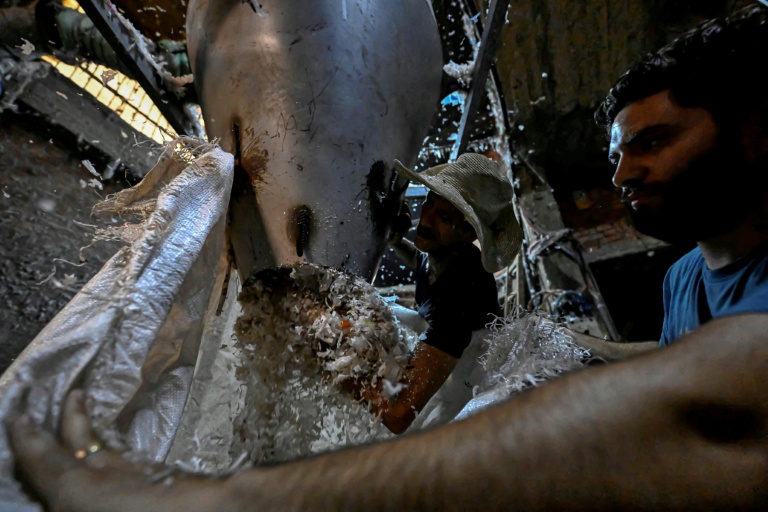 Un ouvrier égyptien Egyptian workers prépare du plastique en vue de son recyclage dans une usine de la 