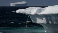 En Arctique, les températures augmentent quatre fois plus vite que la moyenne mondiale, la glace fond comme peau de chagrin. Fjord de Scoresby, est du Groenland, le 12 août 2023
