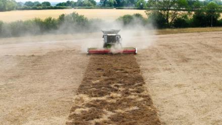 Photo aérienne d'une moisonneuse-batteuse dans un champ de l'Est de l'Angleterre bruni par la sécheresse, dans la ferme de Shimpling park à Bury St Edmunds, le 4 août 2026