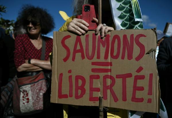 Manifestation contre le projet d’élevage industriel de saumons en milieu terrestre, le 18 octobre 2026 au Verdon-sur-Mer, en Gironde