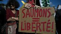 Manifestation contre le projet d’élevage industriel de saumons en milieu terrestre, le 18 octobre 2026 au Verdon-sur-Mer, en Gironde