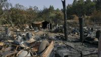 Une ferme détruite après le passage de l'incendie dans l'Aude, à Fontjoncouse, le 9 août 2025