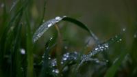 Photo d'archives d'une prairie située sur l'impluvium des eaux Evian à Féternes, en Haute-Savoie, le 16 décembre 2026