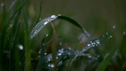 Photo d'archives d'une prairie située sur l'impluvium des eaux Evian à Féternes, en Haute-Savoie, le 16 décembre 2026