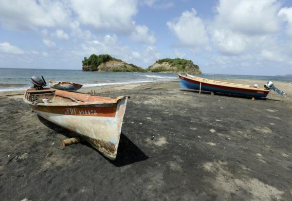 Aux Antilles, la pollution au chlordécone, pesticide utilisé pendant plus de vingt ans, a limité voire interdit la pêche dans de vastes zones