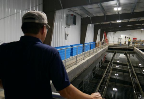Lance Lin, directeur de la Rare Earth Elements Initiative de l'Université de Virginie-Occidentale, devant les bassins d'une installation de traitement de drainage minier acide, le 12 août 2026 à Mount Storm, en Virginie-Occidentale (Etats-Unis)