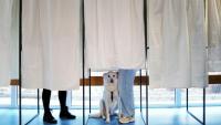 Un chien dans un isoloir le jour du premier tour des municipales à Nice, le 15 mars 2026