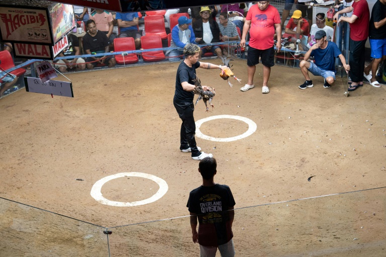 Sur cette photo prise le 5 juillet 2025, des gens assistent à un combat de coqs dans la province de Bulacan, en banlieue de Manille