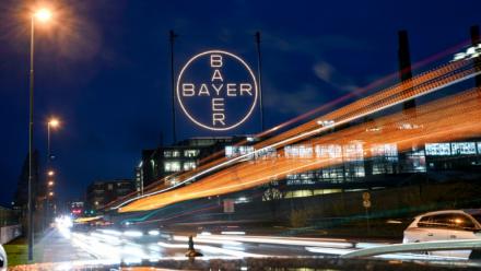 Le logo du géant allemand de la chimie Bayer dans l'usine du groupe à Leverkusen, dans l'ouest de l'Allemagne, le 25 novembre 2024