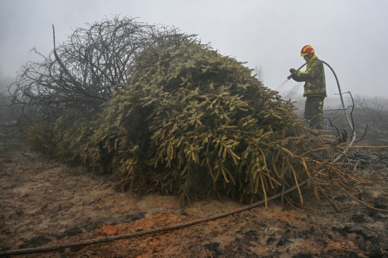 Un pompier arrose un sol et une végétation brûlés lors d'une intervention contre l'incendie dans la réserve naturelle des Hautes Fagnes, dans l'est de la Belgique, le 18 août 2026