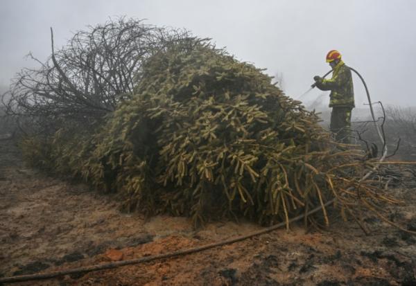 Un pompier arrose un sol et une végétation brûlés lors d'une intervention contre l'incendie dans la réserve naturelle des Hautes Fagnes, dans l'est de la Belgique, le 18 août 2026