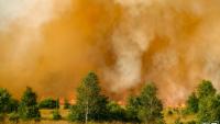 Photo non datée, diffusée le 17 août 2026 par VHP, montrant un pompier luttant contre un feu de forêt dans la réserve naturelle des Hautes Fagnes, en Belgique