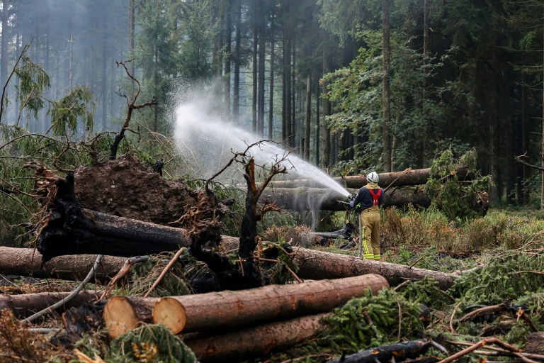 Un pompier asperge le sol d'eau le sol pour l'humidifier lors des opérations visant à contenir un incendie de forêt dans la réserve naturelle des Hautes Fagnes le 20 août 2026