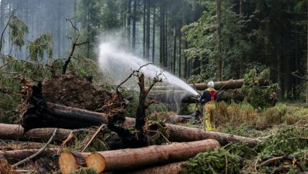 Un pompier asperge le sol d'eau le sol pour l'humidifier lors des opérations visant à contenir un incendie de forêt dans la réserve naturelle des Hautes Fagnes le 20 août 2026