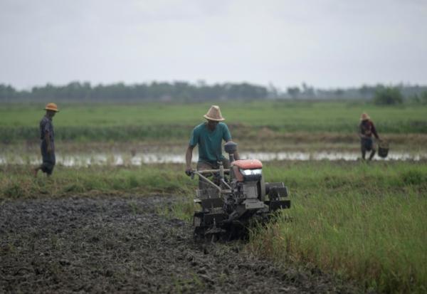 Des agriculteurs dans un champ du canton de Kawhmu, en périphérie de Rangoun, le 25 mai 2026 en Birmanie