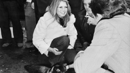L'actrice française Brigitte Bardot lors d'une manifestation contre la chasse aux phoques, le 8 avril 1976 à Fécamp 
