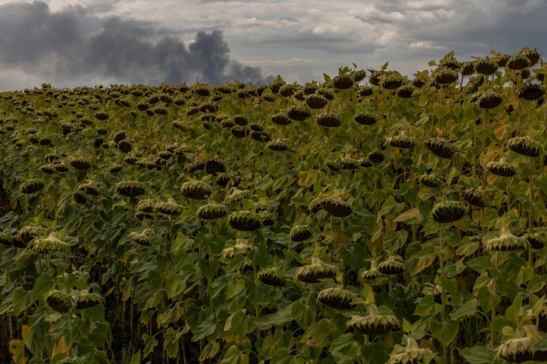 Un champ de tournesols avec, en arrière-plan, de la fumée s'élevant d'un entrepôt à la suite d'une attaque aérienne russe près de Boryspil, dans la région de Kiev, le 27 août 2026