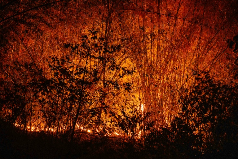 Un feu de forêt près de la Chiang Mai, la deuxième ville de Thaïlande, le 1er avril 2026
