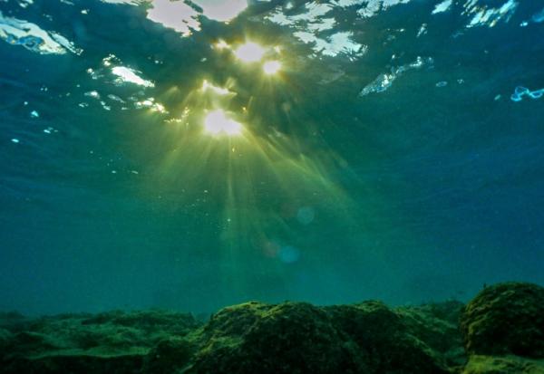 Sous l'effet du réchauffement climatique et du phénomène El Niño, les océans du monde connaissent une série de records de chaleur qui inquiètent les scientifiques