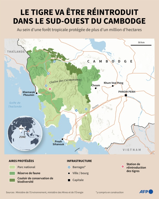 Le tigre va être réintroduit dans le sud-ouest du Cambodge