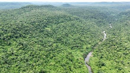 Vue aérienne du parc national des Cardamomes, dans la province de Koh Kong, le 11 juin 2026 au Cambodge