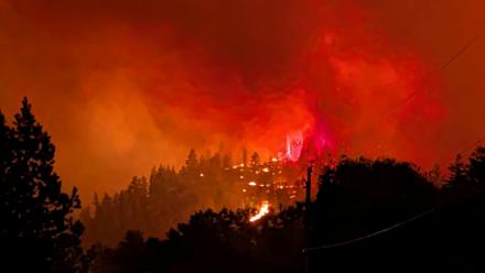 L'incendie de Bald Range ravage le sud de la Colombie-Britannique, dans l'ouest du Canada (photo prise le 7 août 2026 et diffusée le 8 par le Service des incendies de forêt de la province)