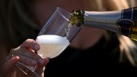 Les vendanges 2026 ont été les plus précoces jamais observées en Champagne, avec de premiers coups de sécateurs dès le 6 août