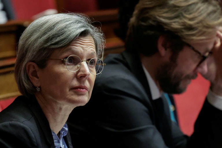 Sandrine Rousseau à l'Assemblée nationale, le 20 janvier 2026