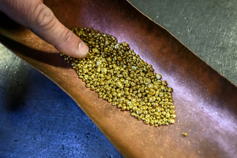 Des granulés d'or, amenés à être fondus pour la confection d'une Palme d'or cannoise, le 21 avril 2026, dans un atelier de la maison Chopard à Meyrin, près de Genève 